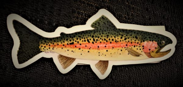 Sticker- Rainbow Trout