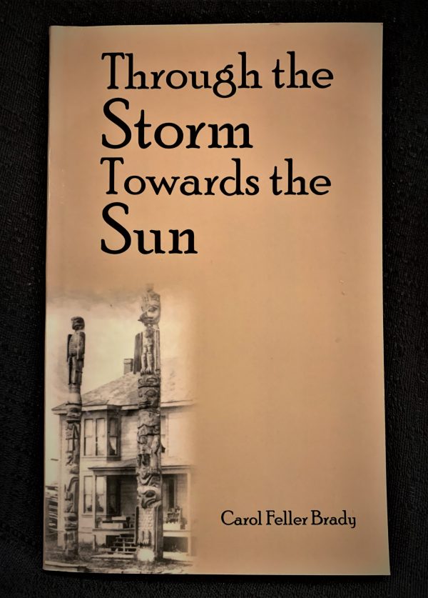 Book- Through the Storm Toward the Sun