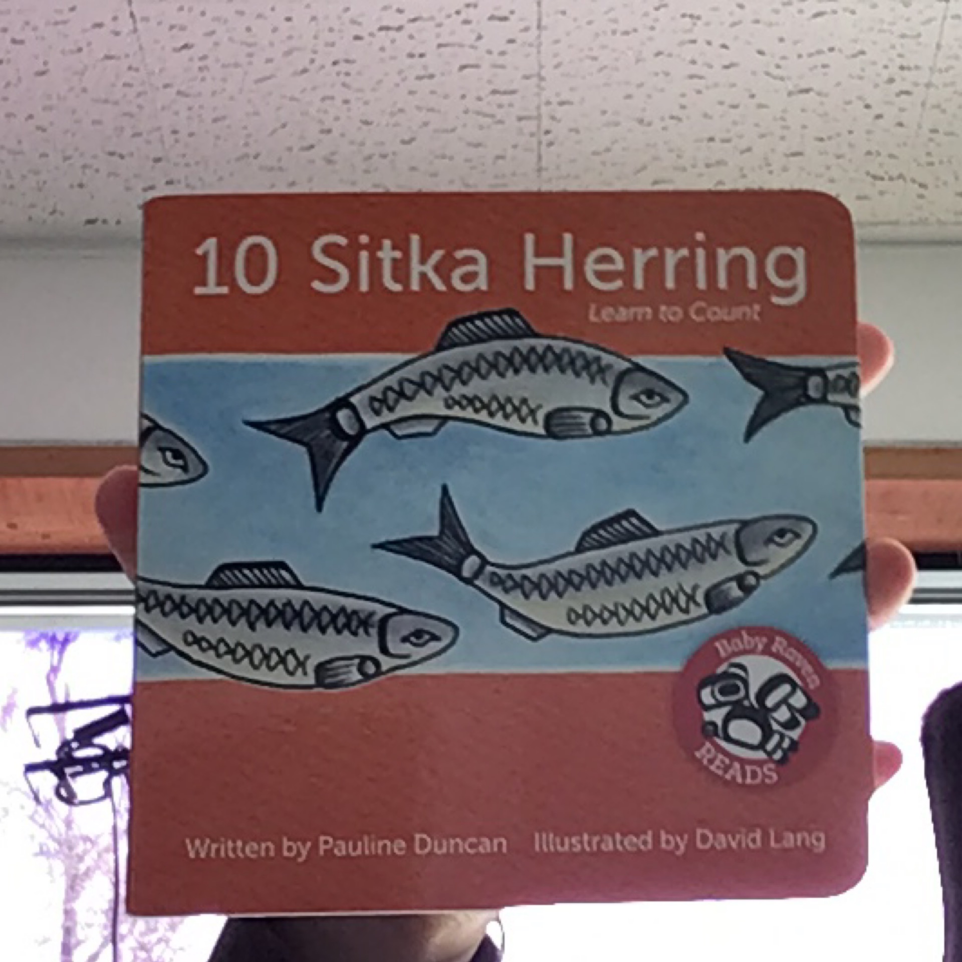 10 Sitka Herring