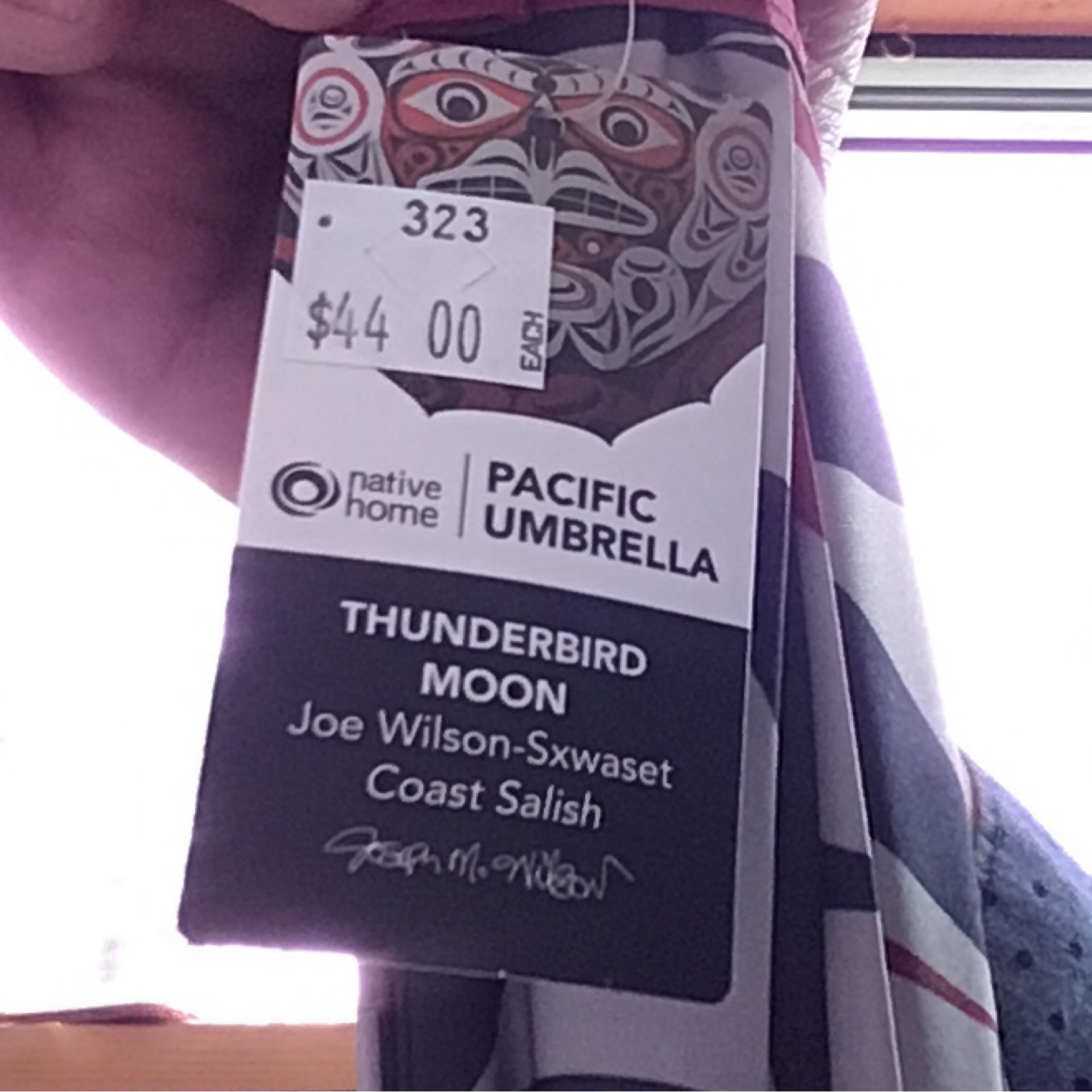 Umbrella Cane- handle Thunderbird Moon