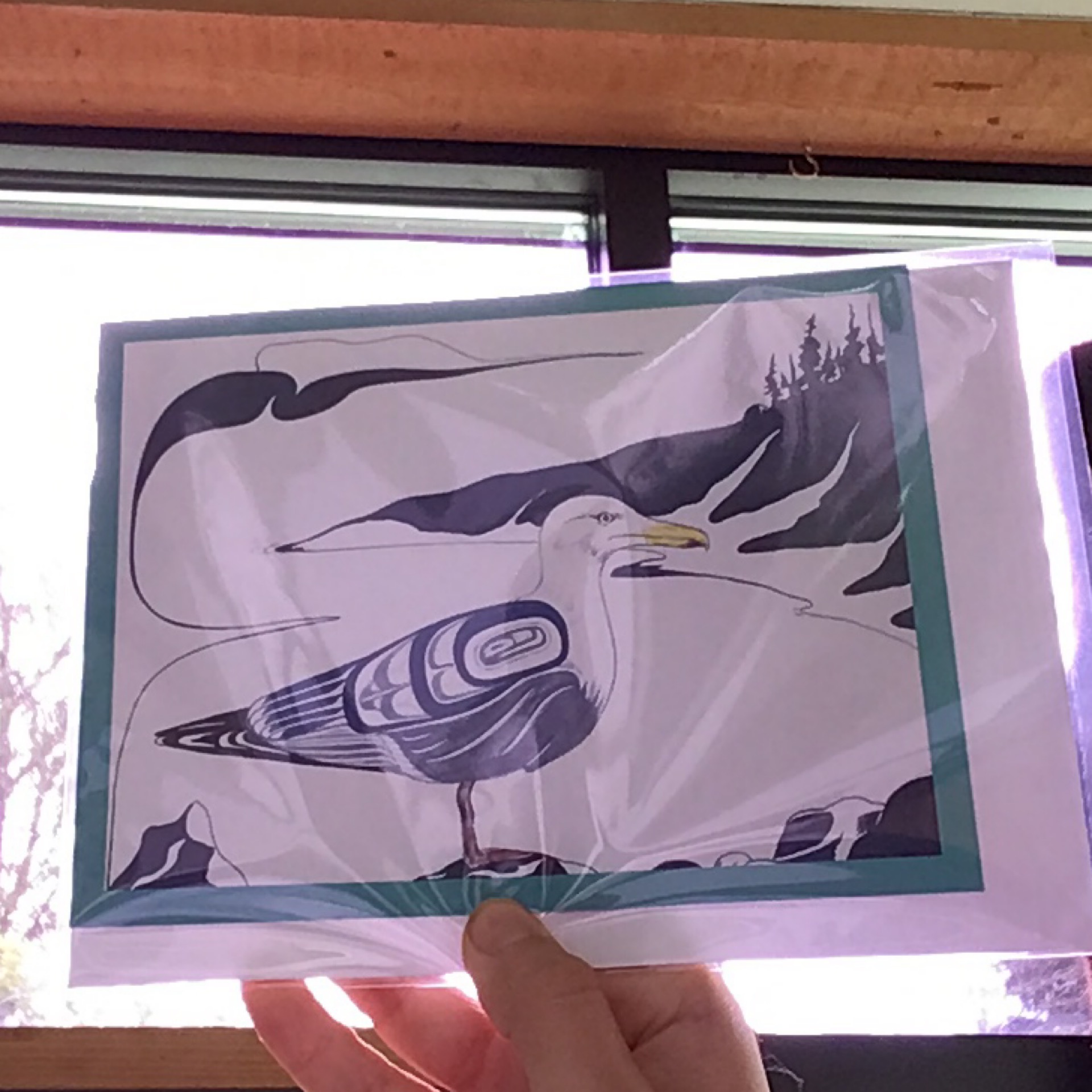 Folding Card- Seagull